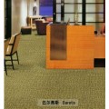 艺术家系列-巴尔蒂斯