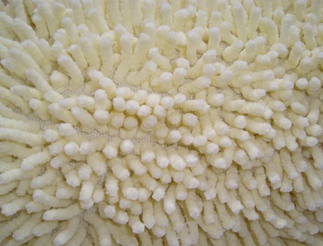 雪尼尔DS-003