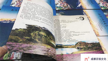 #40周年同学会纪念册#成都百铂文化纪念册 