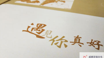 #聚会纪念册#成都百铂纪念册之西南科技大学同学会画册