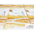 #成都毕业纪念册#成都百铂纪念册·西南财大经济信息工程学院2016级毕业纪念册