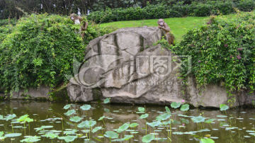 河北雕塑 城市广场景观树脂玻璃钢雕塑