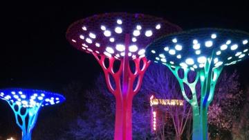 城市304树形夜景灯雕塑 不锈钢锻造树定制