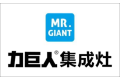 松雅（中国）科技有限公司