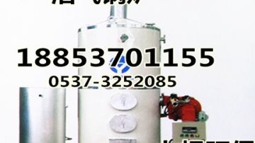 沼气锅炉具体表现-济宁力扬