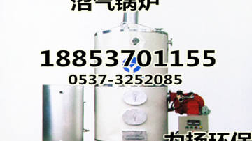 立式沼气锅炉的养殖设备