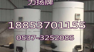 立式沼气锅炉的养殖设备