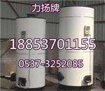 沼气气煤两用锅炉生产厂家-力扬环保