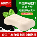 TAIDINA泰蒂娜泰国原装进口乳胶枕美容平面枕