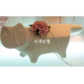 人动物红绿经典产品SNV80566