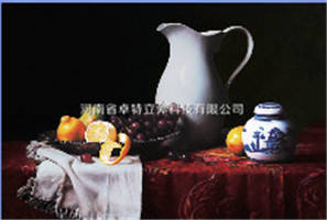 厂家供应立体婚纱照制作培训3D婚纱照制作培训