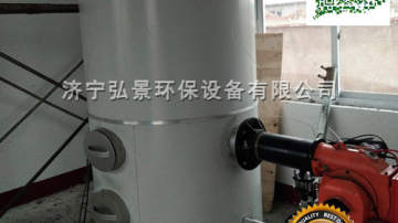 定制-沼气供暖锅炉两用热水锅炉生产厂家