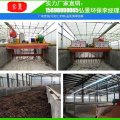 小型翻堆机猪舍的粪污集中处理、统一发酵处理图片