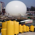 沼气工程气体集中收集设备规格有哪些 多少钱