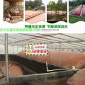 年出栏1000头生猪污水粪便深度处理达标排放、收集还田