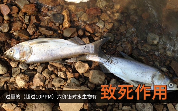 伟业门窗:水美中国,从无铬化开始 伟业门窗:水美中国,从无铬化开始