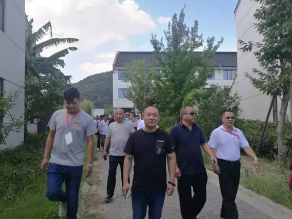 海鹰：兵军会师苏州，助力民宿营造技术