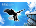 [文晖门窗]文晖门窗面向全国诚意招经销商