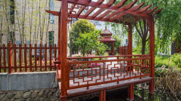 葡萄架