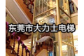 东莞市大力士电梯有限公司