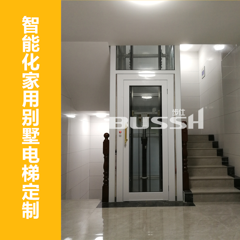专注家用电梯/小型别墅电梯 进口品质 低调简约