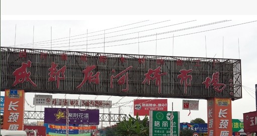 成都府河桥市场