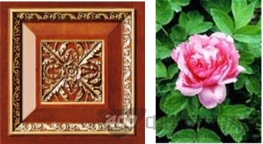 华鹤木门:雕花寓意 彰显高端品质 华鹤木门:雕花寓意 彰显高端品质