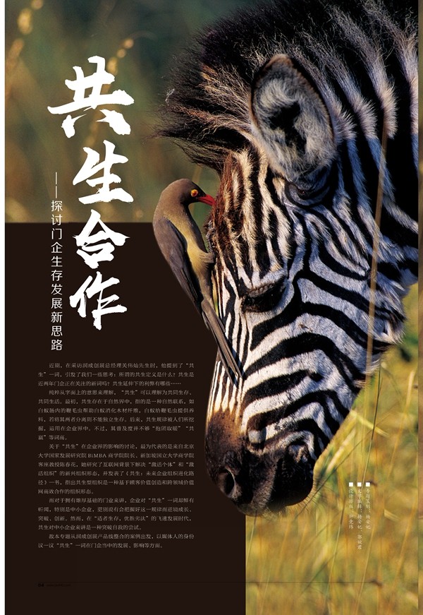 【热点聚焦】共生合作——探讨门企生存发展新思路