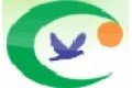 重庆绿森实业有限公司