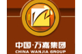 中国万嘉集团