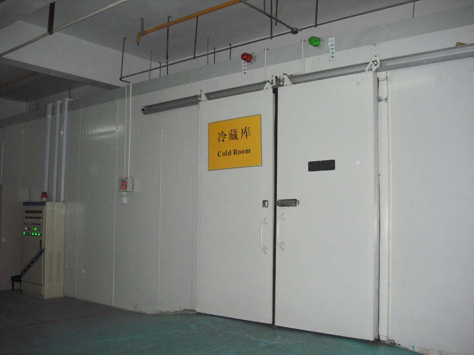 东莞电动冷库门