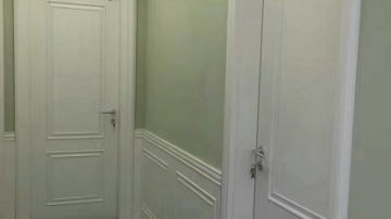 德式T型门带墙裙