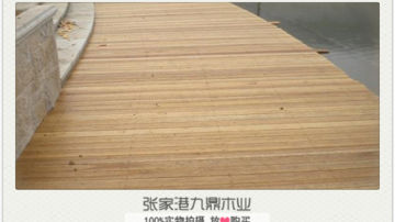 红雪松价格_品牌_批发红雪松厂家