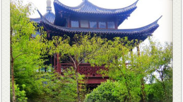 建筑木方 精品木方 方木木方 厂家直销 定制加工