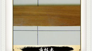 重蚁木是什么木材,重蚁木价格多少钱 重蚁木