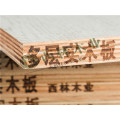 免漆多层实木板什么牌子好