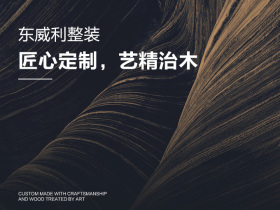 东威利整装:匠心定制,艺精治木 东威利整装:匠心定制,艺精治木