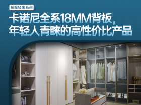 卡诺尼全系18mm背板,年轻人青睐的高性价比产品——极简轻奢系列 卡诺尼全系18mm背板,年轻人青睐的高性价比产品——极简轻奢系列