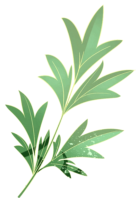 千年舟「锌效抗菌石墨烯生态板」专属花色，重磅登场