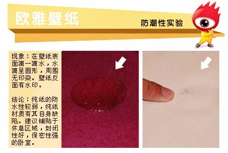 环保当道 欧雅270108纯纸壁纸评测