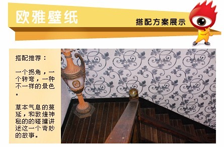 环保当道 欧雅270108纯纸壁纸评测