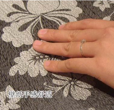 德国艾仕壁纸铂金Venus系列 不一样的奢华体验 德国艾仕壁纸铂金Venus系列 不一样的奢华体验