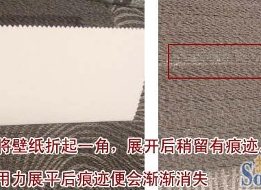 德国艾仕壁纸铂金Venus系列 不一样的奢华体验 德国艾仕壁纸铂金Venus系列 不一样的奢华体验