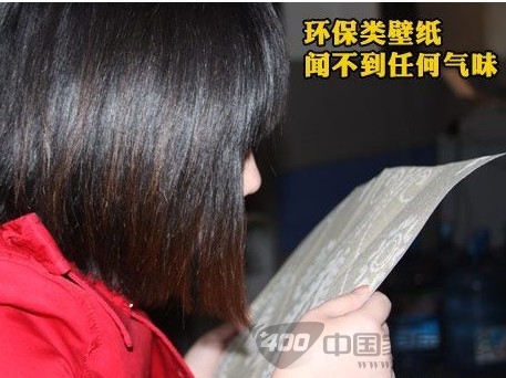 格瑞沃尔玛雅M30803墙纸赏析 带有春天般的温馨气息 墙纸