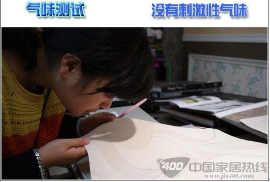 德泰探戈1300305壁纸赏析 如跳跃般的精灵 墙纸