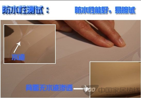德泰探戈1300305壁纸赏析 如跳跃般的精灵 墙纸