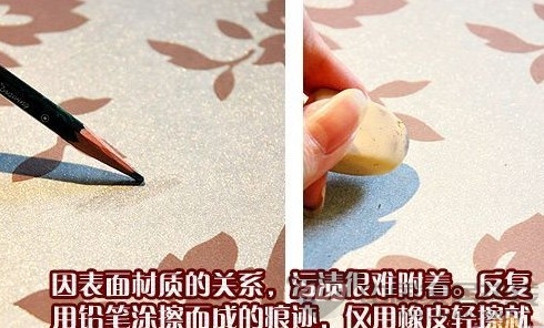 柔然普瑞斯N1033880壁纸赏析 华美报春花的灿烂热情 柔然普瑞斯N1033880壁纸赏析 华美报春花的灿烂热情