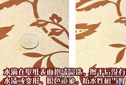 柔然普瑞斯N1033880壁纸赏析 华美报春花的灿烂热情 柔然普瑞斯N1033880壁纸赏析 华美报春花的灿烂热情