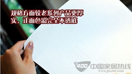 柔然普瑞斯N1033880壁纸赏析 华美报春花的灿烂热情 柔然普瑞斯N1033880壁纸赏析 华美报春花的灿烂热情