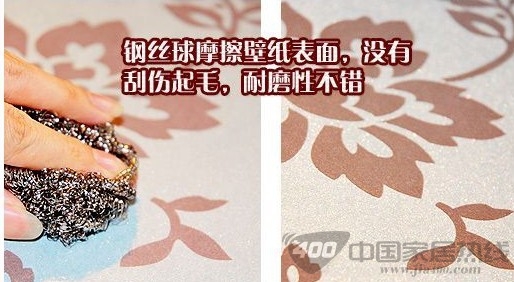 柔然普瑞斯N1033880壁纸赏析 华美报春花的灿烂热情 柔然普瑞斯N1033880壁纸赏析 华美报春花的灿烂热情